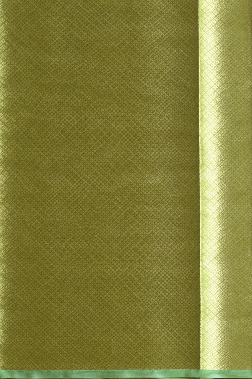 Pure Tissue Brocade Saree — Champagne Gold with Mint Green Border