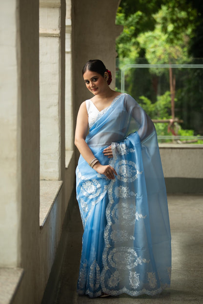 Sky Blue Pure Organza Saree with Floral Embroidery
