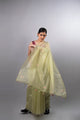 Pista Noor Tissue Organza Saree