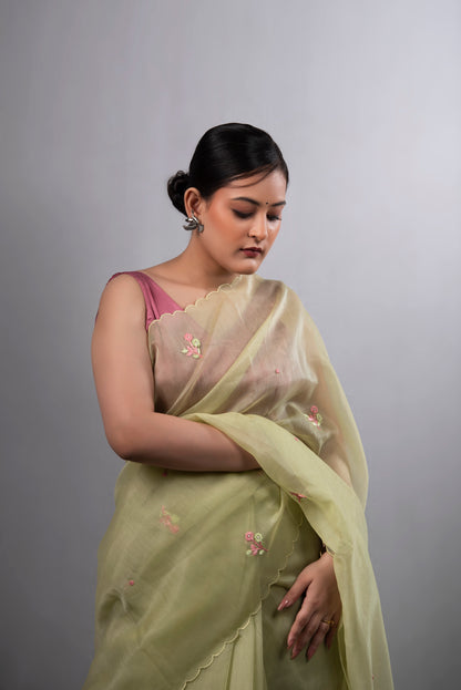 Pista Noor Tissue Organza Saree