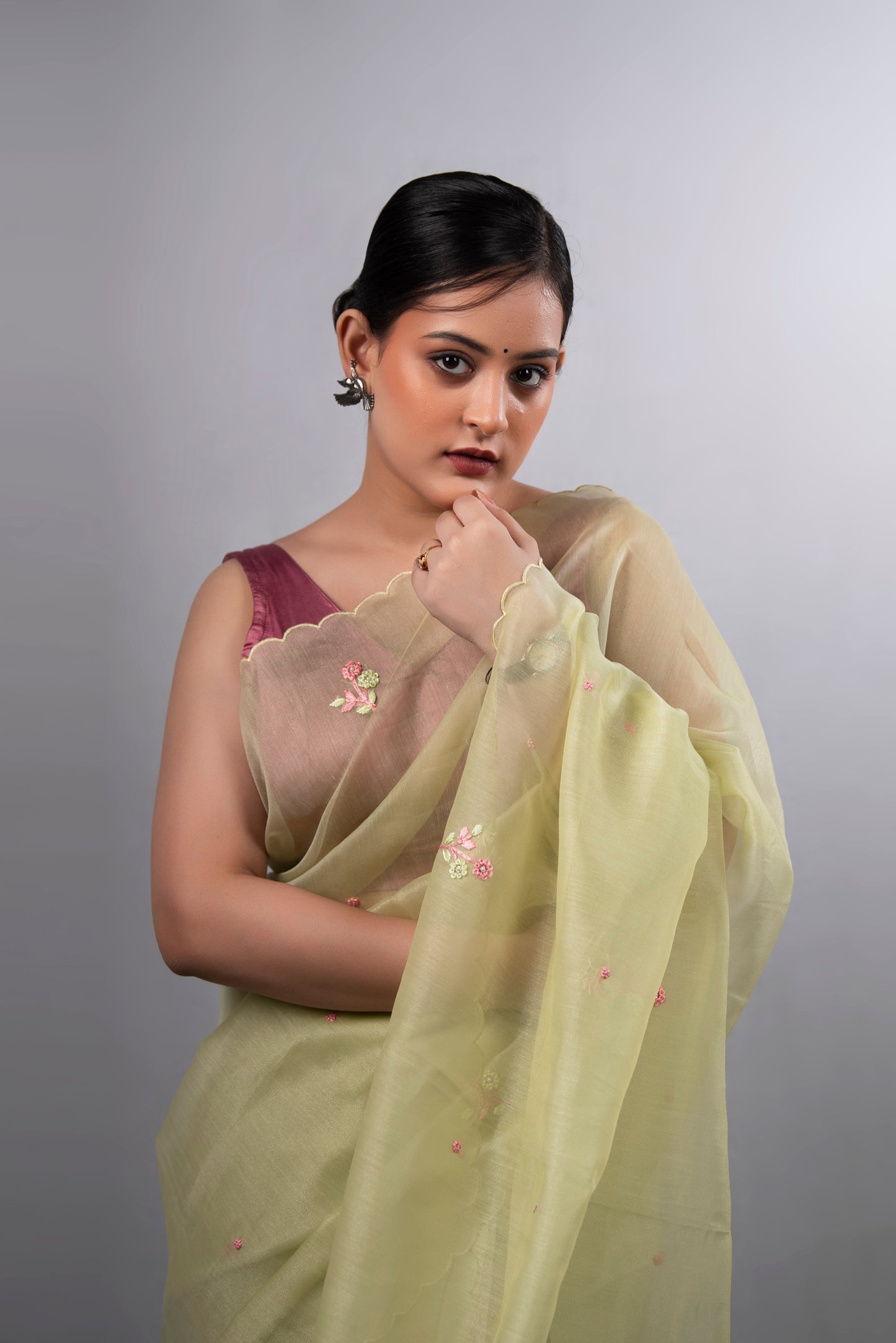 Pista Noor Tissue Organza Saree