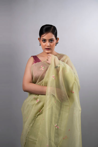 Pista Noor Tissue Organza Saree