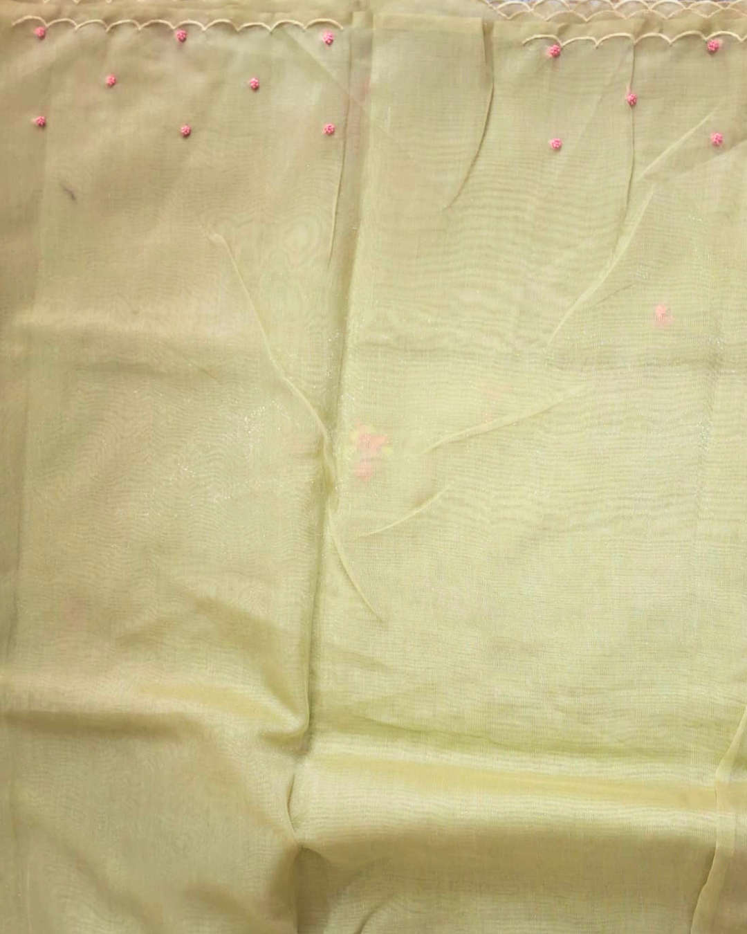 Pista Noor Tissue Organza Saree