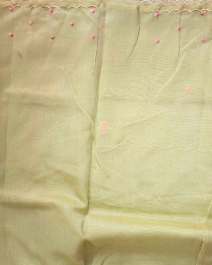 Pista Noor Tissue Organza Saree