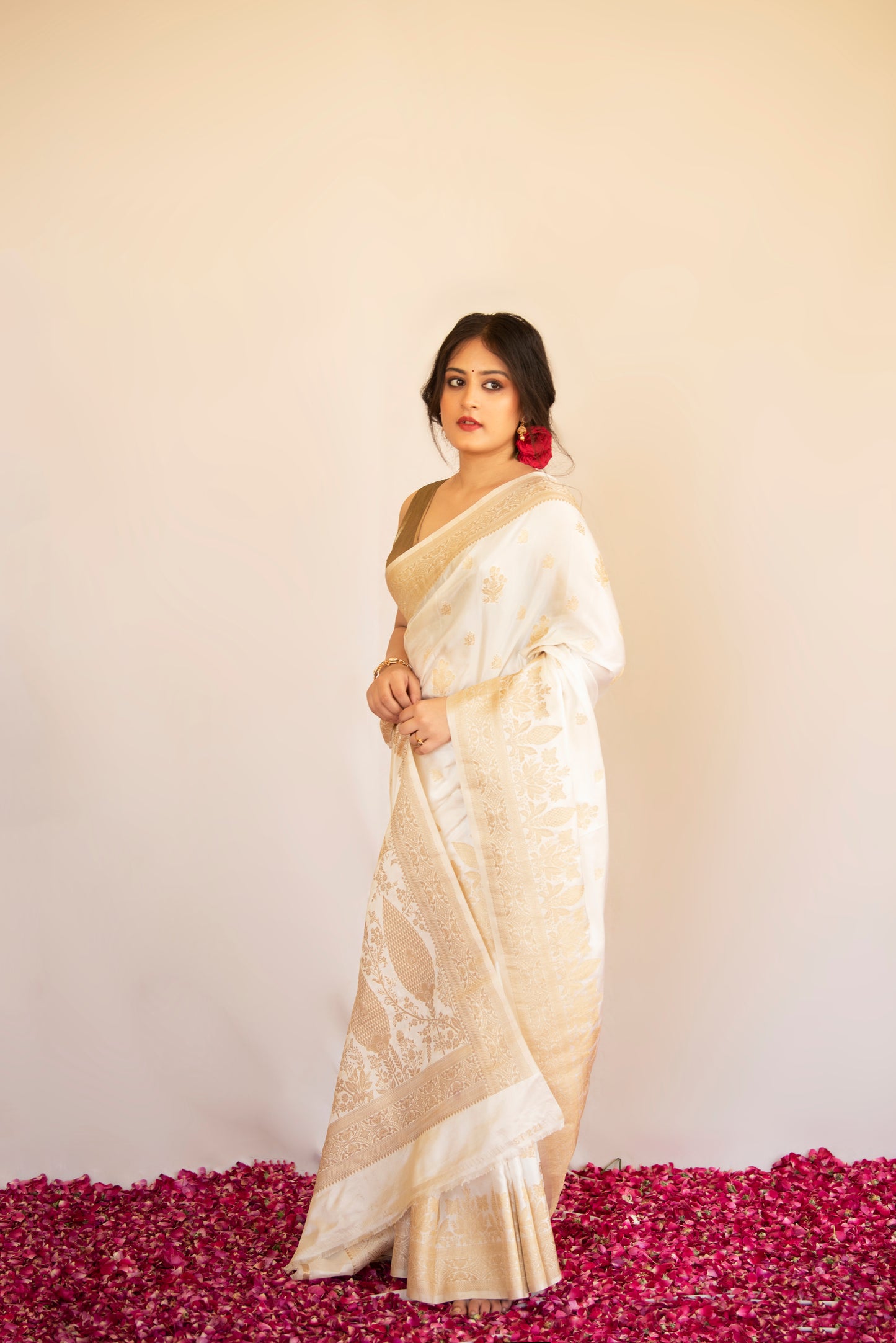 Eira Mashru Banarasi Saree