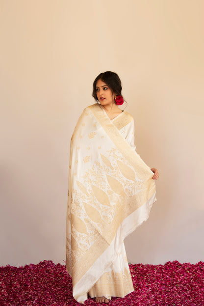 Eira Mashru Banarasi Saree