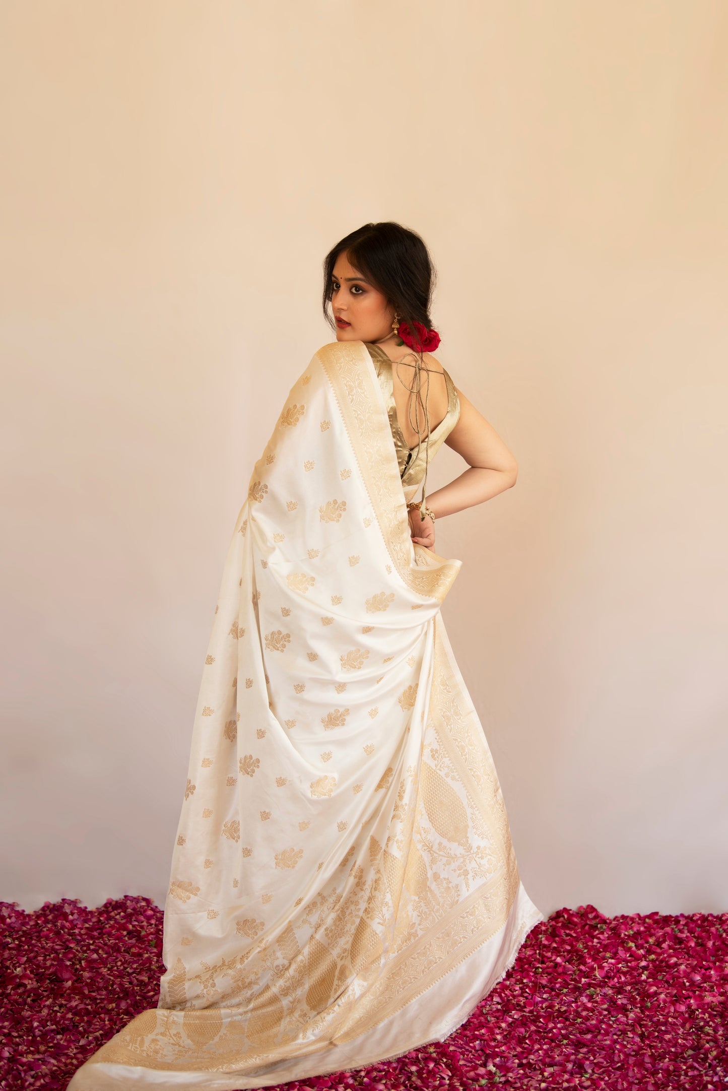 Eira Mashru Banarasi Saree