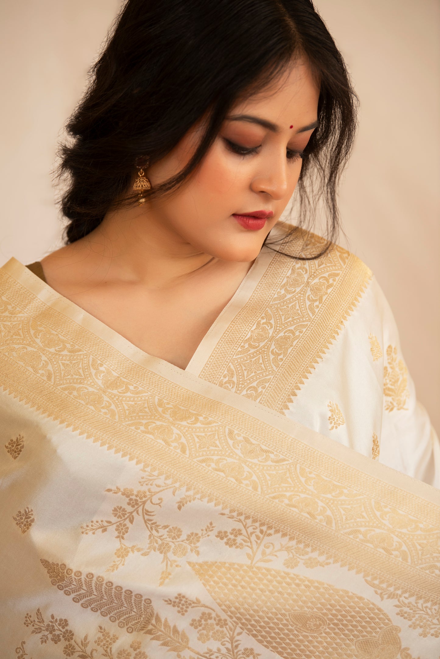 Eira Mashru Banarasi Saree