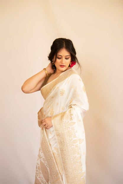 Eira Mashru Banarasi Saree