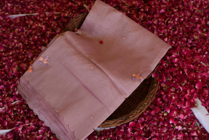 Pista Noor Tissue Organza Saree