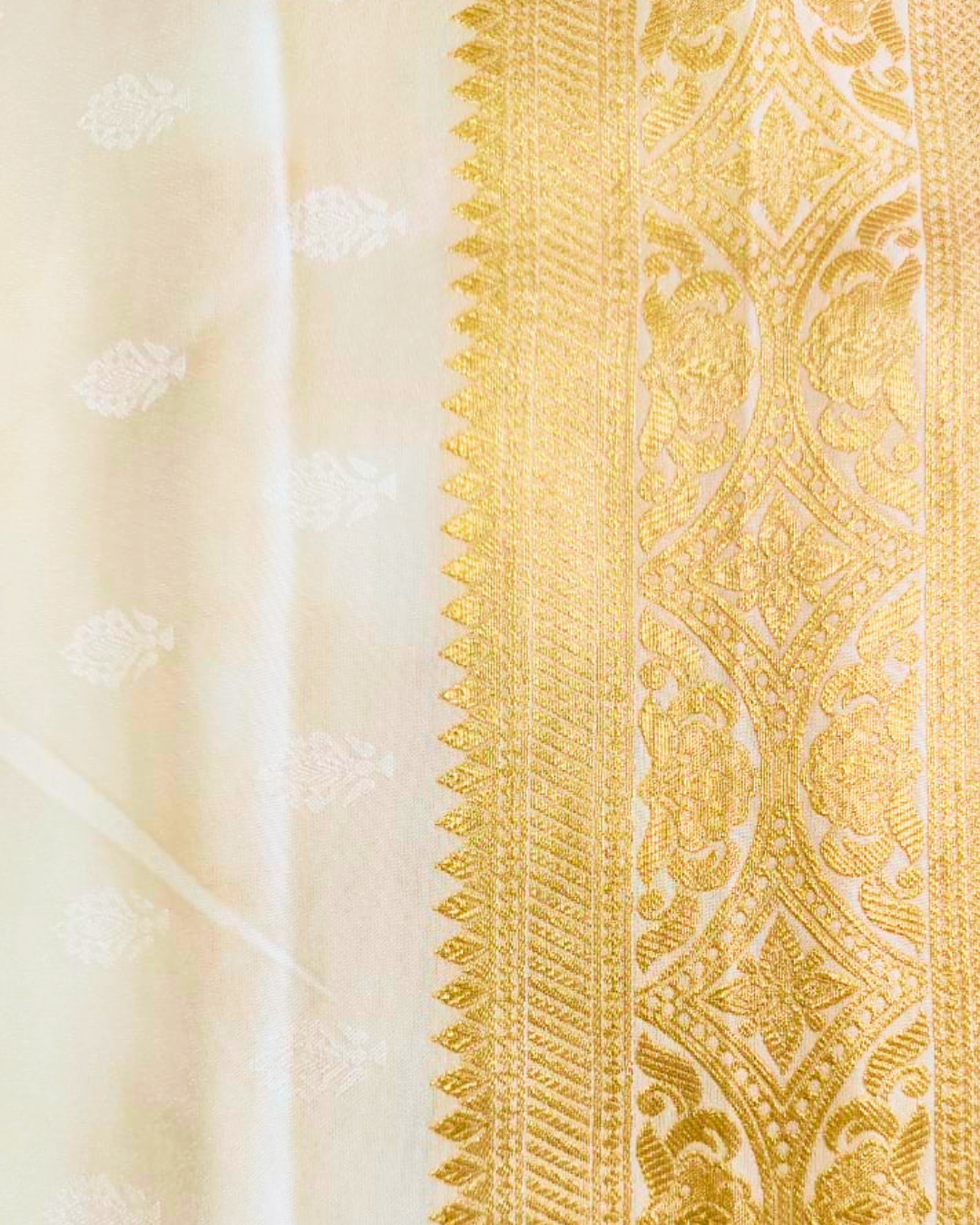Eira Mashru Banarasi Saree