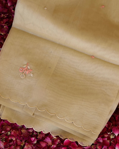 Pista Noor Tissue Organza Saree