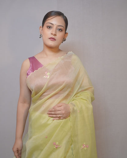 Pista Noor Tissue Organza Saree