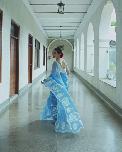 Sky Blue Pure Organza Saree with Floral Embroidery