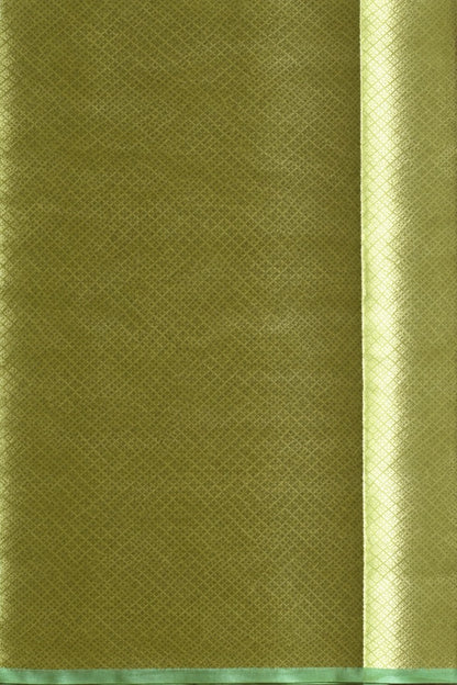 Pure Tissue Brocade Saree — Champagne Gold with Mint Green Border
